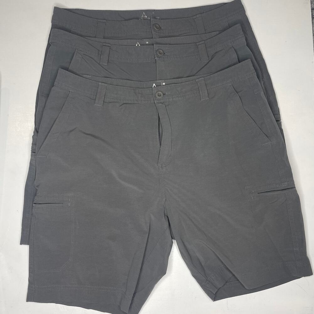 ASCEND Set of Nylon Shorts
